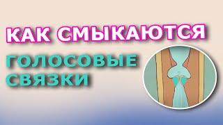 Типы смыкания голосовых связок