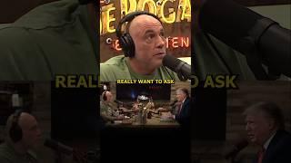 Rogan on What He'd Ask Trump on His Podcast