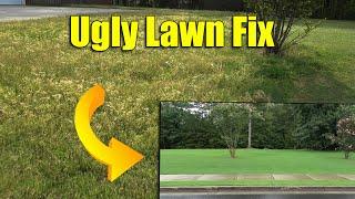 Fixing Ugly Lawn Full of Weeds