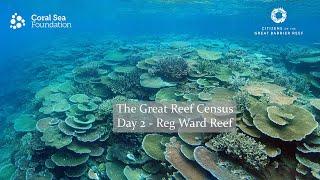 Great Reef Census - Day 2 - Reg Ward Reef