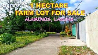 1 HECTARE FARM LOT FOR SALE (PROP# 164) ALAMINOS, LAGUNA