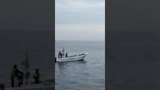 Orca watching in Rausu