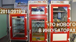 Инкубаторы MultiLife, Бориса Кравчик. Что нового в инкубаторах серии 2018/2019 года