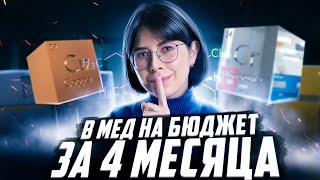 В МЕД НА БЮДЖЕТ ЗА 4 МЕСЯЦА?! | Химия ЕГЭ — Екатерина Строганова