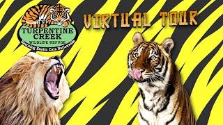 Turpentine Creek Wildlife Rescue Virtual Tour