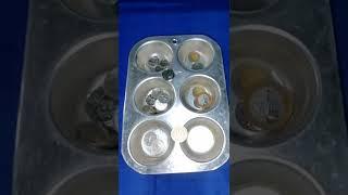 ASMR SATISFYING COIN DROPPING IN MY MUFFIN PAN  #shorts #coindrop #coin