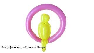 ПОПУГАЙ ИЗ ДЛИННЫХ ШАРИКОВ ШДМ How to Make a Balloon Parrot