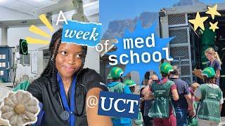 UCT MEDICAL SCHOOL  PRODUCTIVE UNI VLOG