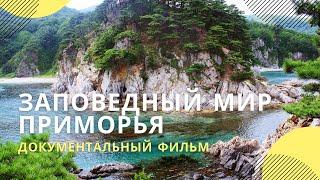 «Заповедный мир Приморья» | Документальный фильм