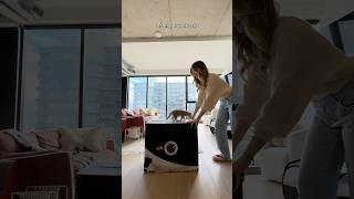 MY KITTEN GOT HER FIRST PR PACKAGE