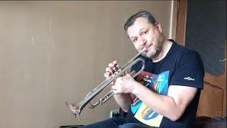  Chet Baker - Summertime (trumpet) performed by Yurka Tim