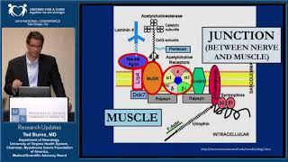 2015 National Conference  Update 2015   Research in Myasthenia Gravis