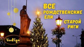 ВСЕ Рождественские ели Старой Риги