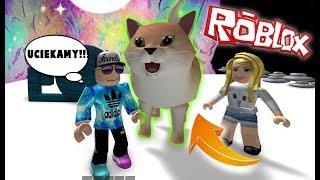 ROBLOX KOCIE OBBY COŚ TU JEST NIE TAK!