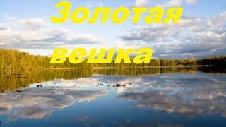 Золотая вешка озеро Талдомского раиона 30/07/2015 Г