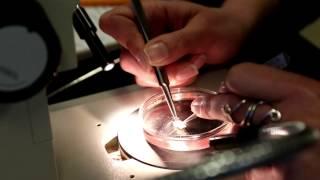 Science Today: Describing New Species | California Academy of Sciences