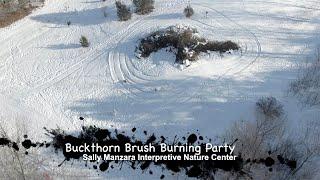 02 08 2020 Sally Manzara Interpretive Nature Center  Buckthorn Burning Party 1