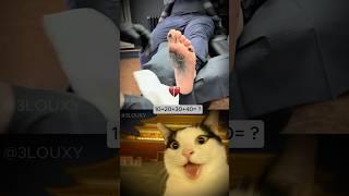 I got a new tatto #cat #memes #funny #trending #meme