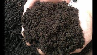 Biohumus, Vermicompost - ביוהומוס (Documentary)