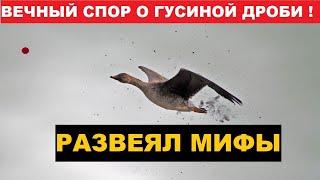  ГУСИННАЯ МАТЕМАТИКА!  СПОРЫ ЧЕМ СТРЕЛЯТЬ ГУСЯ?