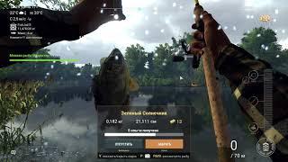 Fishing Planet Зеленый Солнечник Мадвотер