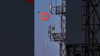 DJI Drone Vs Bird  #dji #shorts #shortsfeed #viralshorts #youtubeshorts #foryou #youtube #drone