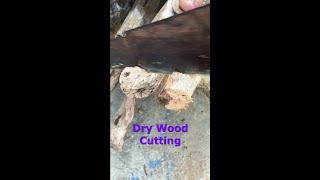 Cutting 2 Pieces of Dry Wood ASMR