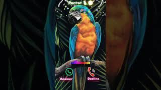 #ringtone #smartphone #ringtones