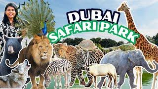 Inside the Dubai Safari Park Tour|Must visit Dubai Zoo|Dubai safari park adventure full tour #dubai