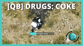 [QBCORE] DRUGS: COCAINE & CRACK SCRIPT