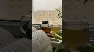 차 한 잔의 온기-  하루한줌 감성 음악 #하루한줌 #음악 # 티타임