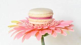 Пирожное макарон  Советы по приготовлению  Macaron