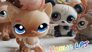 LPS: Небольшой лот , распаковка (9 фигурок)