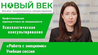 Сессия "Работа с эмоциями", институт психологического консультирования "Новый век"
