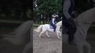 jumping my 14.2 pony smokey Joe