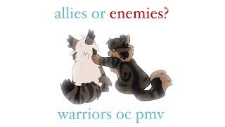 allies or enemies - darnerfly & rainlight - warrior cats oc amv