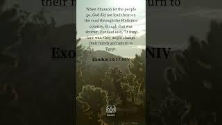 Biblescape ( Exodus 13 : 17 NIV)