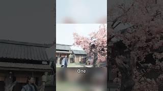 A man fell in love with a peach tree, but it lost its life for him#cdrama #shorts