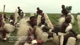 Celebrating Zulu Heritage Through Tribal Dance