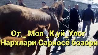 От мол к,уй улог Нархлари Сурхандарё Сариосиё пайшанби мол бозори мархамат