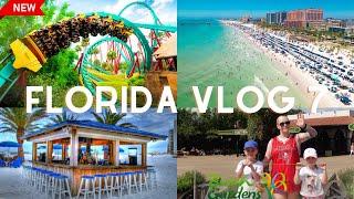 Florida vlog | Busch Gardens | Hilton Clearwater Beach- vlog 7 road trip