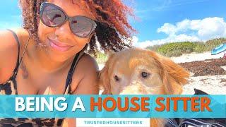 Being A House Sitter | What It's Like Being A House Sitter with TrustedHousesitters