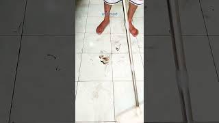 AVIAMED  BERSIHKAN NODA OLI  #floorcleaner