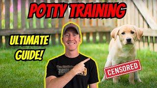 How To Potty Train A Puppy!  Everything You Need To Know!