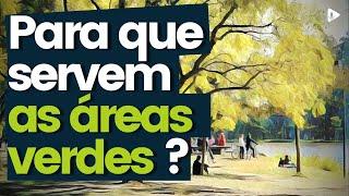 ÁREAS VERDES URBANAS: O QUE SÃO E PARA QUE SERVEM?