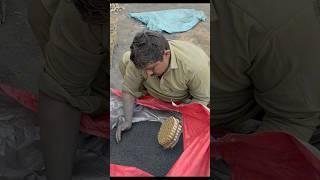 Incredible Scale! Fireworks Making Process #fireworks #factory #shorts