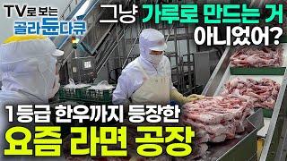 누가 라면이 간편식품이래? 장인 정신 첨가한 요즘 라면 만드는 과정｜수출액 1조 8,100억 원 대한민국 수출 효자｜한국 라면 공장｜korean Ramen｜극한직업｜#골라듄다큐