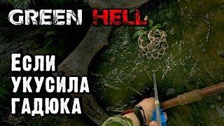 Как лечить укус змеи в Green Hell