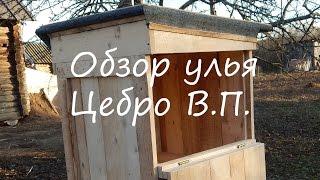 Пчеловодство с нуля: обзор улья Цебро В.П.