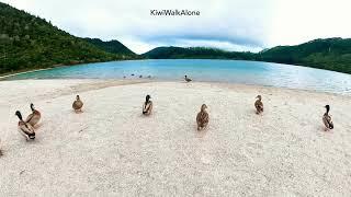 The Blue and Green Lakes of Rotorua, New Zealand